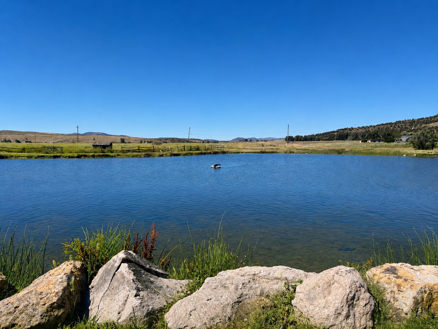 Landscape around Hunters Hot Springs Resort